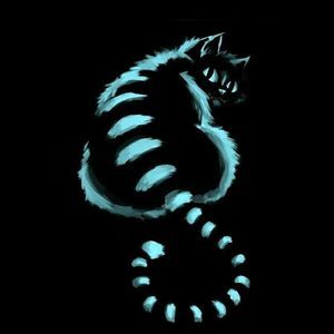 Meet your Posher, Misty